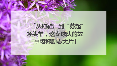 从拖鞋厂到“苏超”领头羊，这支球队的故事堪称励志大片
