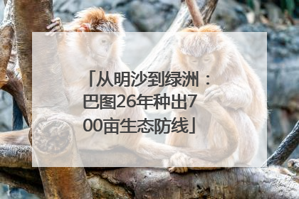 从明沙到绿洲：巴图26年种出700亩生态防线