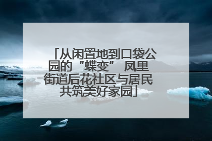 从闲置地到口袋公园的“蝶变” 凤里街道后花社区与居民共筑美好家园