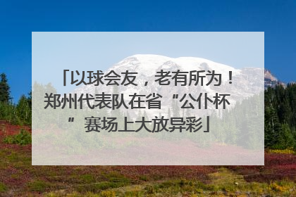以球会友，老有所为！郑州代表队在省“公仆杯”赛场上大放异彩