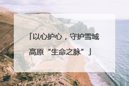 以心护心，守护雪域高原“生命之脉”