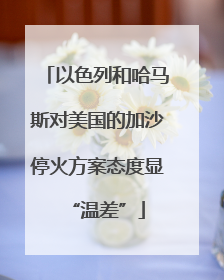 以色列和哈马斯对美国的加沙停火方案态度显“温差”