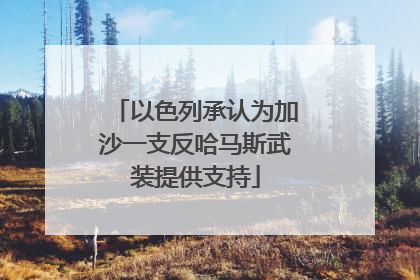 以色列承认为加沙一支反哈马斯武装提供支持