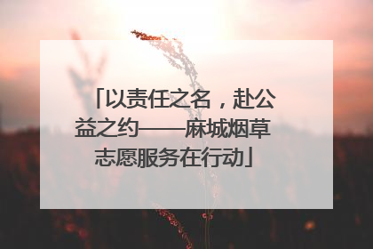 以责任之名，赴公益之约——麻城烟草志愿服务在行动