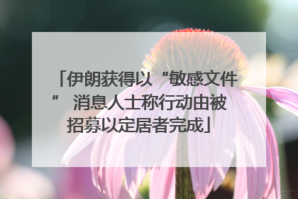 伊朗获得以“敏感文件” 消息人士称行动由被招募以定居者完成