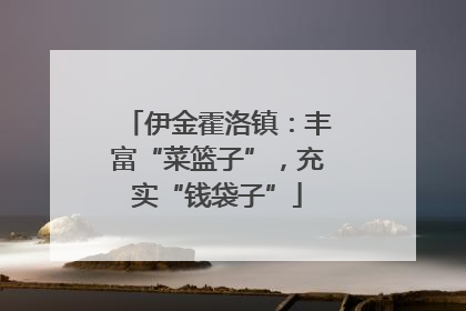 伊金霍洛镇：丰富“菜篮子”，充实“钱袋子”