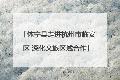 休宁县走进杭州市临安区 深化文旅区域合作