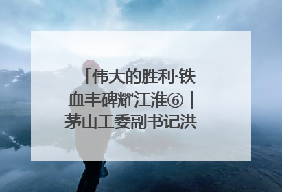 伟大的胜利·铁血丰碑耀江淮⑥｜茅山工委副书记洪天诚的亲笔信