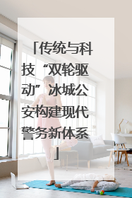 传统与科技“双轮驱动”冰城公安构建现代警务新体系