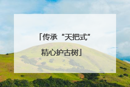 传承“天把式” 精心护古树
