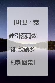 叶县：党建引领高效能 绘就乡村新图景
