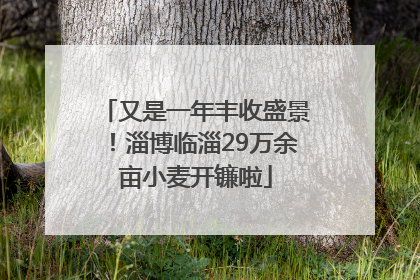 又是一年丰收盛景！淄博临淄29万余亩小麦开镰啦