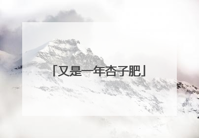又是一年杏子肥