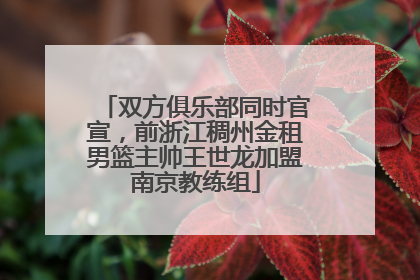 双方俱乐部同时官宣，前浙江稠州金租男篮主帅王世龙加盟南京教练组