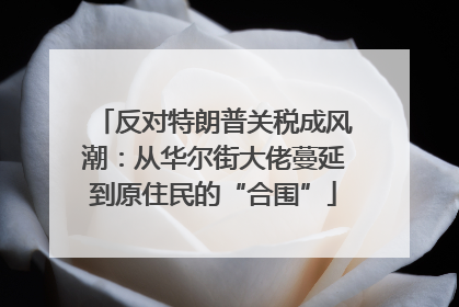 反对特朗普关税成风潮：从华尔街大佬蔓延到原住民的“合围”