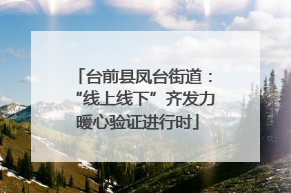 台前县凤台街道：“线上线下”齐发力 暖心验证进行时