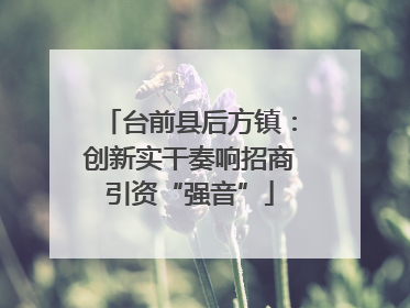台前县后方镇：创新实干奏响招商引资“强音”