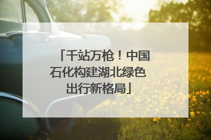 千站万枪！中国石化构建湖北绿色出行新格局