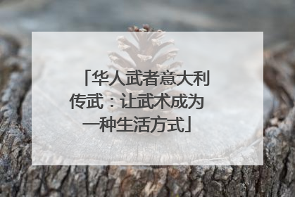 华人武者意大利传武：让武术成为一种生活方式