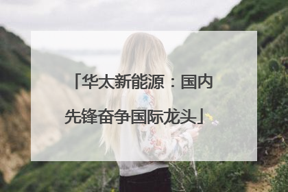 华太新能源：国内先锋奋争国际龙头