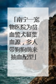 南宁一宠物医院为贫血警犬征集血源，多人带狗狗前来抽血配型