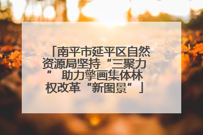 南平市延平区自然资源局坚持“三聚力” 助力擎画集体林权改革“新图景”