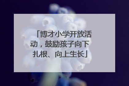 博才小学开放活动，鼓励孩子向下扎根、向上生长