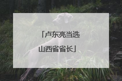 卢东亮当选山西省省长