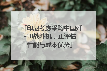 印尼考虑采购中国歼-10战斗机，正评估性能与成本优势