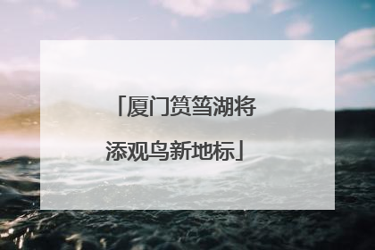 厦门筼筜湖将添观鸟新地标