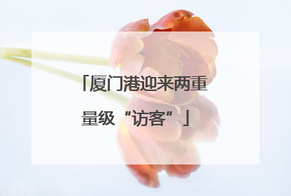 厦门港迎来两重量级“访客”