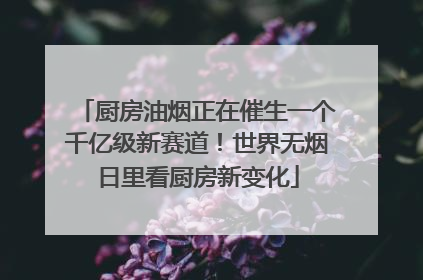 厨房油烟正在催生一个千亿级新赛道！世界无烟日里看厨房新变化