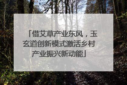 借艾草产业东风，玉玄道创新模式激活乡村产业振兴新动能