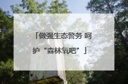 做强生态警务 呵护“森林氧吧”