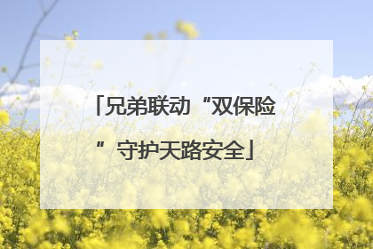 兄弟联动“双保险”守护天路安全