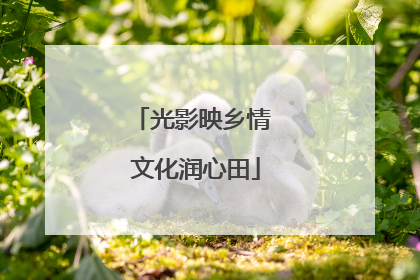 光影映乡情 文化润心田