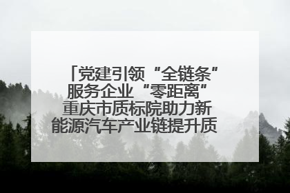党建引领“全链条” 服务企业“零距离” 重庆市质标院助力新能源汽车产业链提升质量管理水平