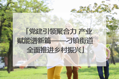 党建引领聚合力 产业赋能谱新篇——刁镇街道全面推进乡村振兴