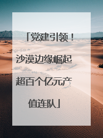 党建引领！沙漠边缘崛起超百个亿元产值连队