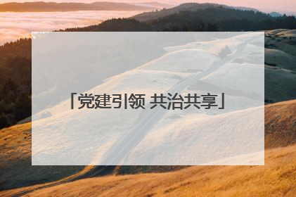 党建引领 共治共享