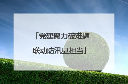 党建聚力破难题 联动防汛显担当
