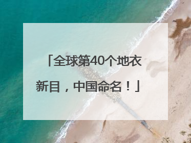全球第40个地衣新目，中国命名！