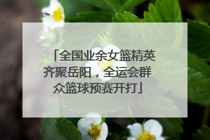 全国业余女篮精英齐聚岳阳，全运会群众篮球预赛开打