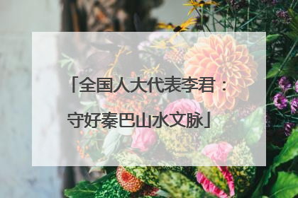 全国人大代表李君：守好秦巴山水文脉
