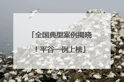 全国典型案例揭晓！平谷一例上榜