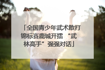 全国青少年武术散打锦标赛鹿城开擂 “武林高手”强强对话