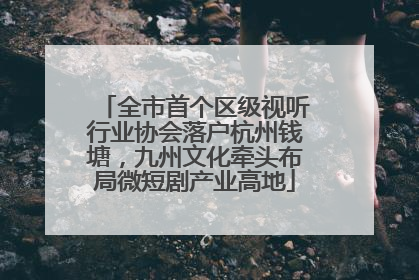 全市首个区级视听行业协会落户杭州钱塘，九州文化牵头布局微短剧产业高地