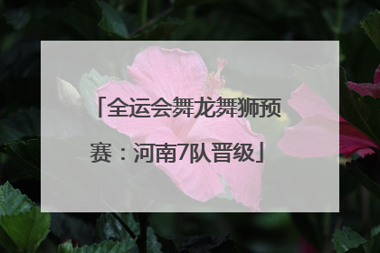 全运会舞龙舞狮预赛：河南7队晋级