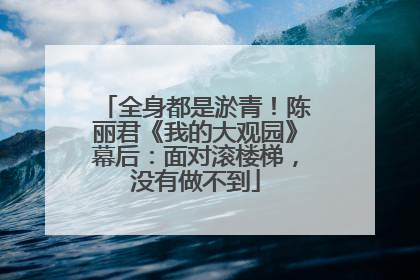 全身都是淤青！陈丽君《我的大观园》幕后：面对滚楼梯，没有做不到