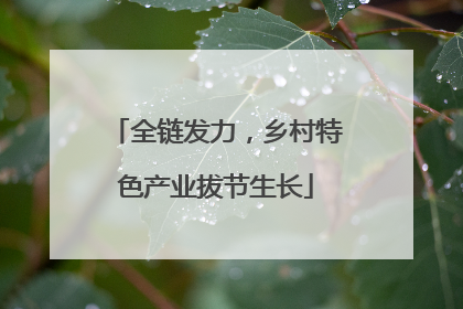 全链发力，乡村特色产业拔节生长